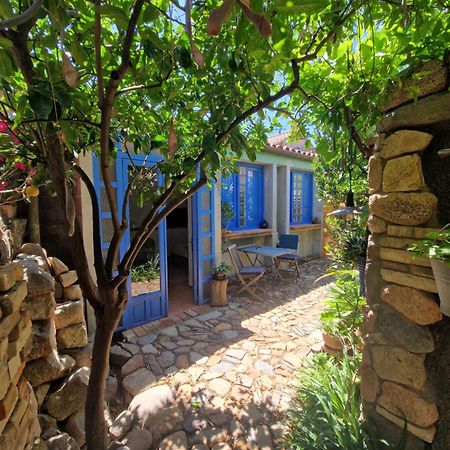 Casa Olive Διαμέρισμα San Vito  Εξωτερικό φωτογραφία