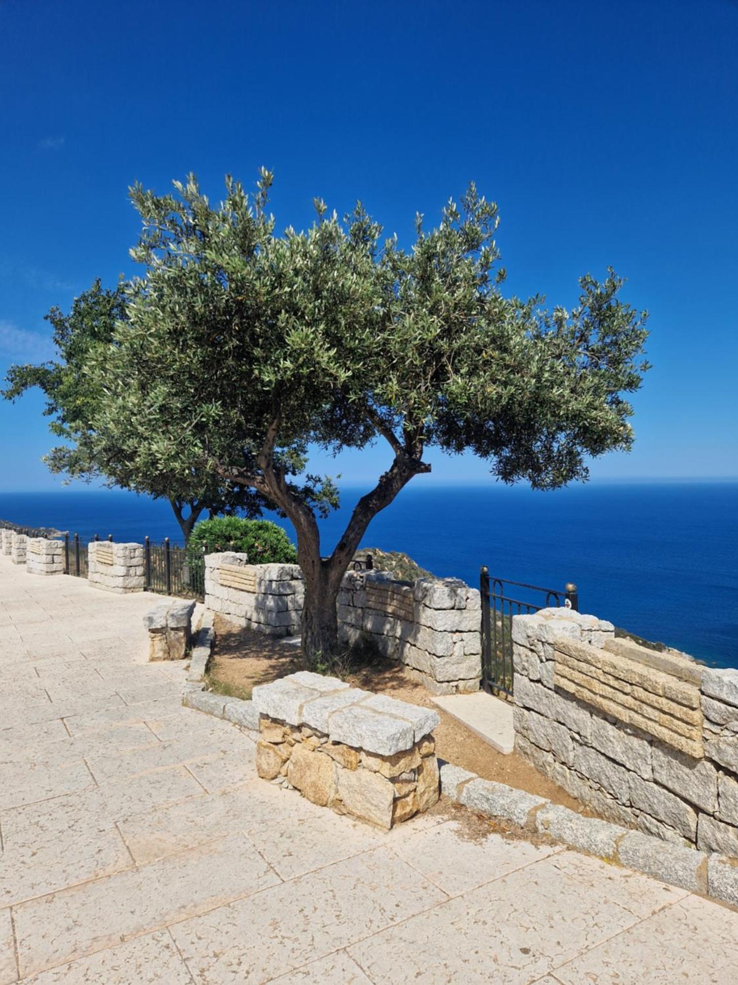 Casa Olive Διαμέρισμα San Vito  Εξωτερικό φωτογραφία
